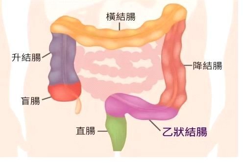 內臟鬆弛術的科學與邏輯